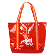 Clear Tote With Zipper